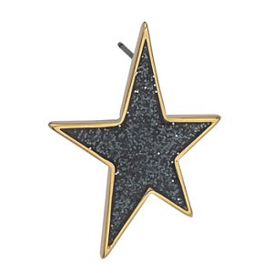 Pendiente estrella con pin en titanio