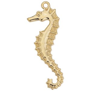 Κρεμαστό ιππόκαμπος