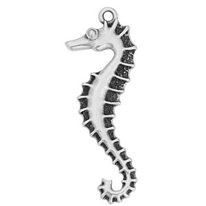 Κρεμαστό ιππόκαμπος