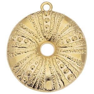 Κρεμαστό αχινός