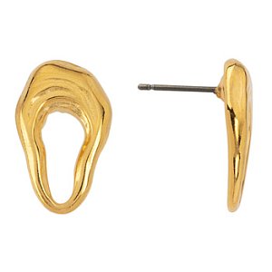 Earring with titanium pin