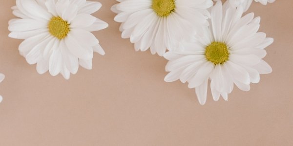 Ανοιξιάτικες και καλοκαιρινές ιδέες για επαγγελματικές συλλογές κοσμημάτων